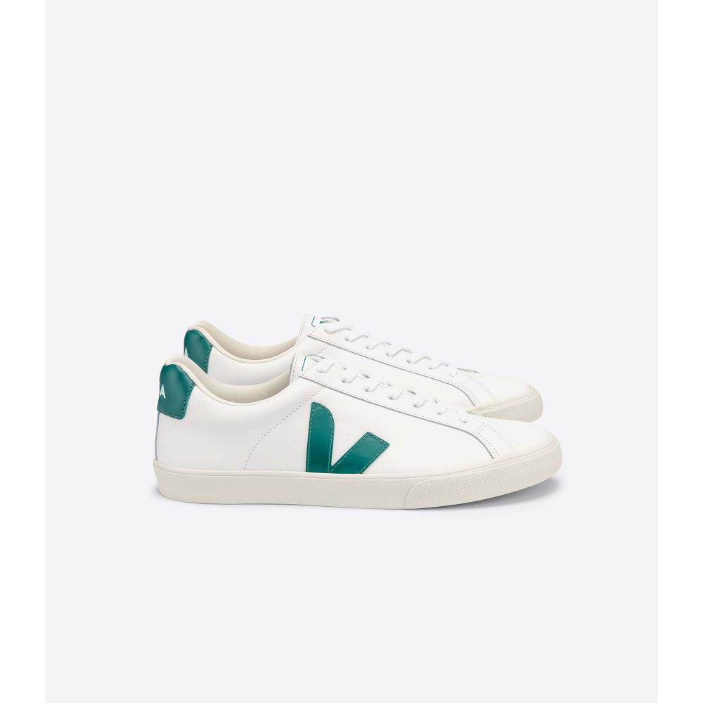 Men\'s Veja ESPLAR LEATHER Sneakers White/Green | SG 305ZUT